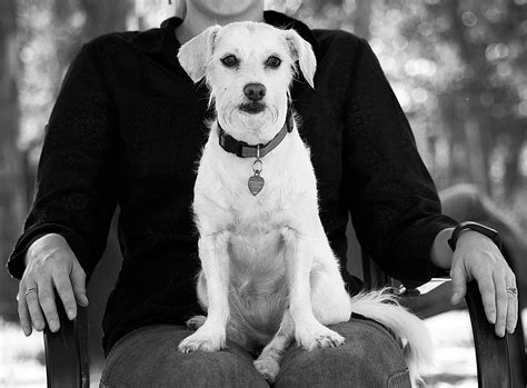 Dog + Master | Flickr