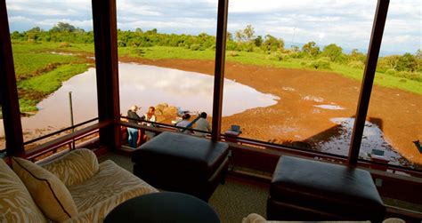 The Ark Lodge Luxury Safari Experience In Aberdare National Park