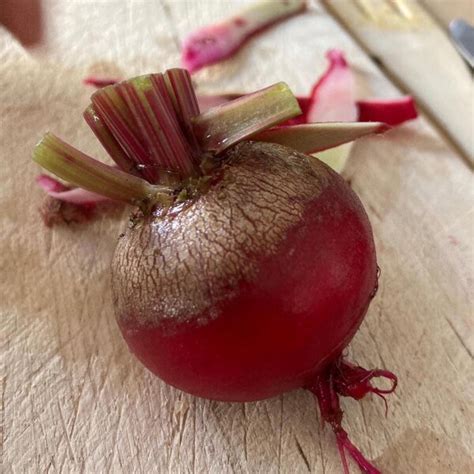 Geringelte Rote Bete Tonda Di Chioggia Beta Vulgaris Samen Rote