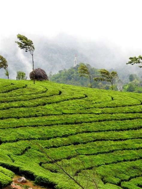 6 Must Visit Destinations In Kerala Uno Trips