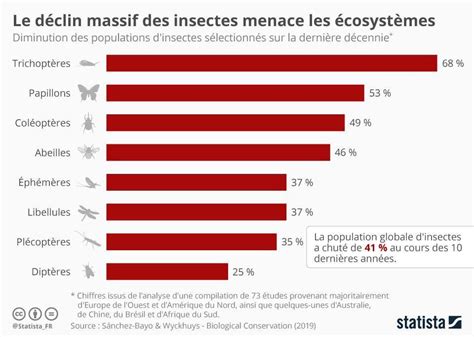 Insectes Quelles Sont Les Esp Ces Les Plus Menac Es Insectes