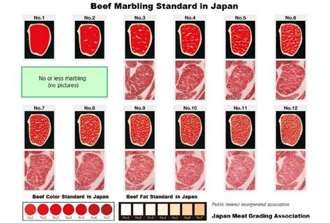 A5 Japanese Wagyu Beef Grading The Wagyu Shop, 44% OFF