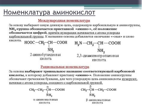 Аминокислоты: разновидности, эффекты и схемы приема