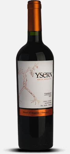 YSERN TANNAT GRAN RESERVA 2021 MEU VINHO