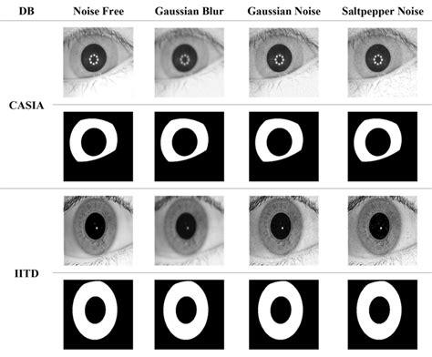 Iris Segmentation Results The Datasets In Rows 12 Are Casia And The