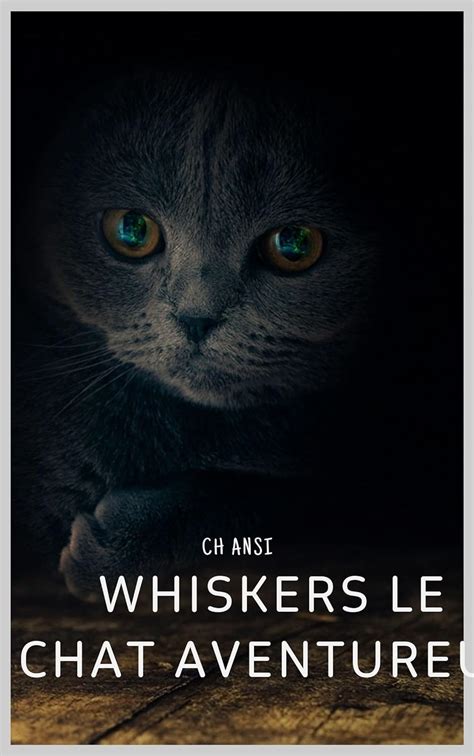 Whiskers Le Chat Aventureux French Edition Ebook Ansi Ch Amazon