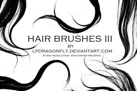 hair brushes III by ivadesign on DeviantArt