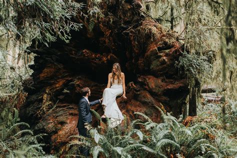 Redwood Forest Photographer Wedding Elopement & Portraits — HAZEL EYE ...