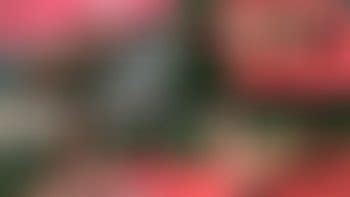 Mixed Bondage Wrestling Porn Videos Clips Sale