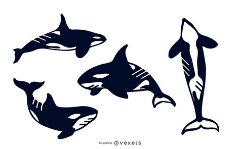 Killer Whale Silhouette Set Vector Download