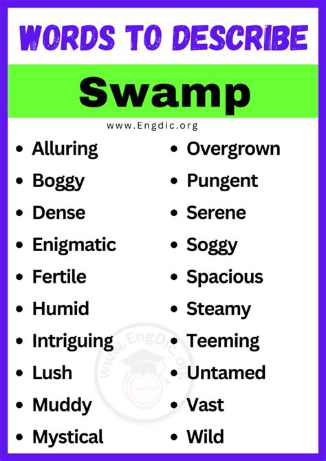 20 Best Words To Describe Swamp Adjectives For Swamp Engdic