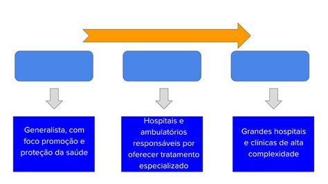 Níveis De Atenção A Saúde Braincp