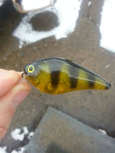 Perch Hard Baits Tackleunderground Tackle Building Forums