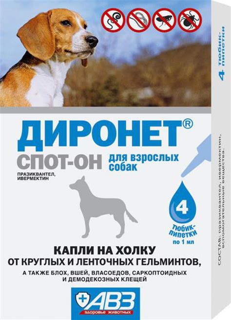 "Диронет" для собак: инструкция по применению и отзывы