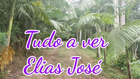 Poesia Tudo A Ver De Elias José Youtube