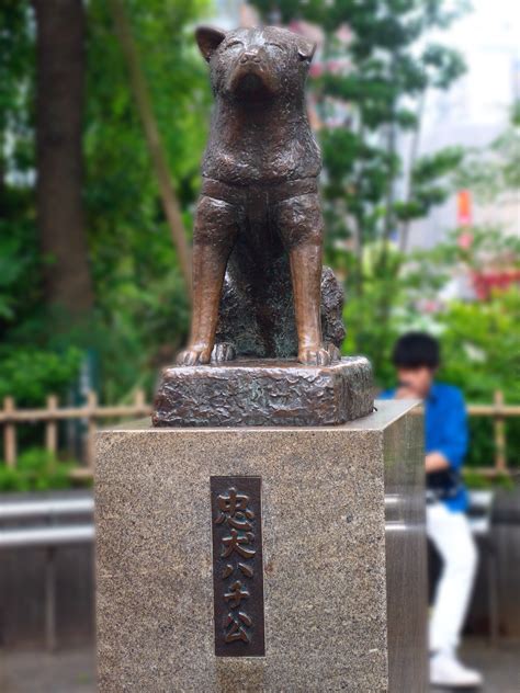 (English) Tokyo Adventures: Hachiko – Blog de Export Manga