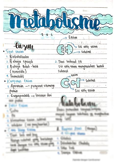 Solution Metabolisme Sel Cell Metabolism Studypool