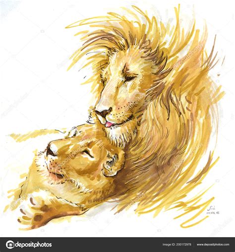 Top 76 Imagen Imagenes De Leones En Pareja Abzlocal Mx