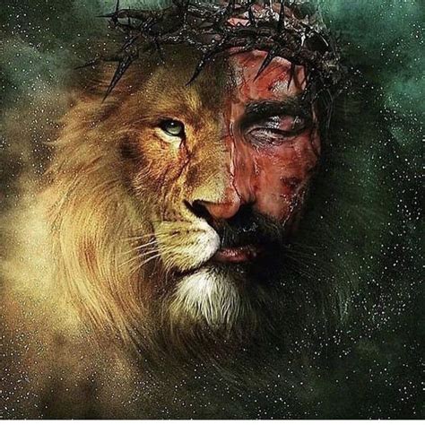 Jesus The Lion Of Judah Images And Photos Finder