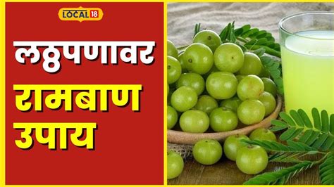 Health Tips आरोग्याचा खजिना आहे आवळा हिवाळ्यात रोज खा अन् बिनधास्त