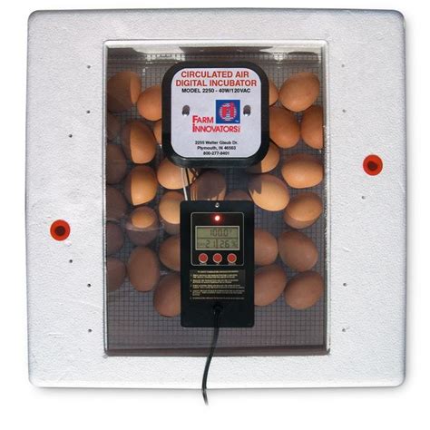 Digital Circulated Air Incubator