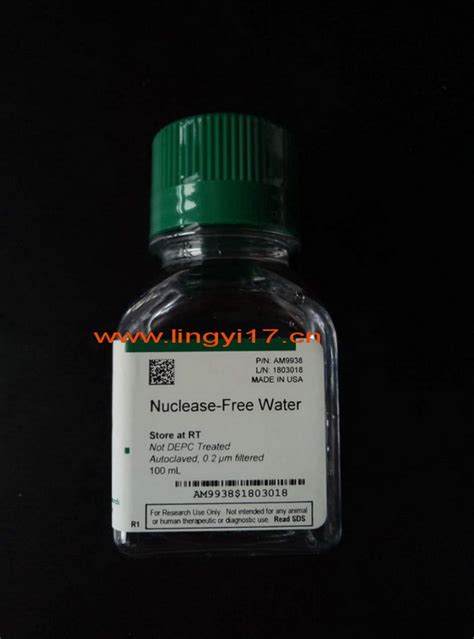 Life Invitrogen Nuclease Free Water Not Depc Treated Am