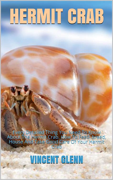 Hermit Crab Every Detailed Thing You Need To Know About The Hermit Crab How To Feed Breed