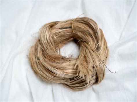 Jute Fiber