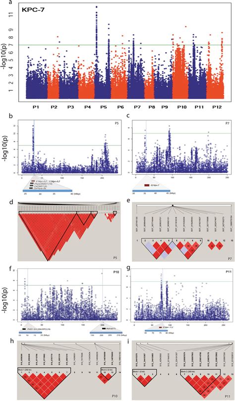 Manhattan Plots Based On Gbs Gwas Showing The Significant Snps