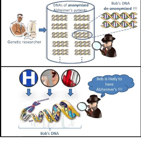 Single Nucleotide Polymorphism Snp With Alleles C And T Download Scientific Diagram