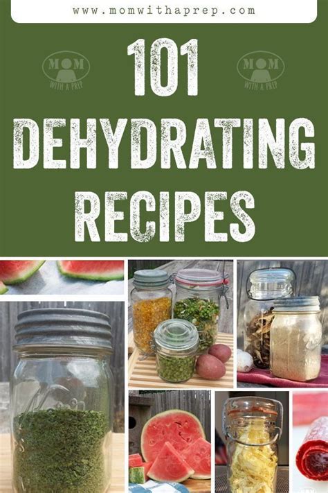 Dehydrating Food 101 Preservation For Novices Artofit