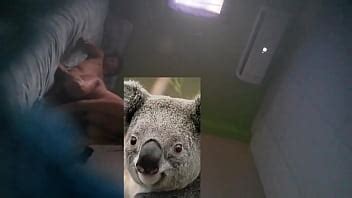 Guayaquil Videos Page XVIDEOS