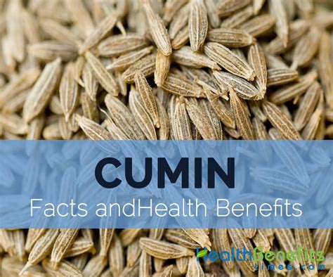 Cumin Facts And Health Benefits Nutrition Cumin Nutritional Value