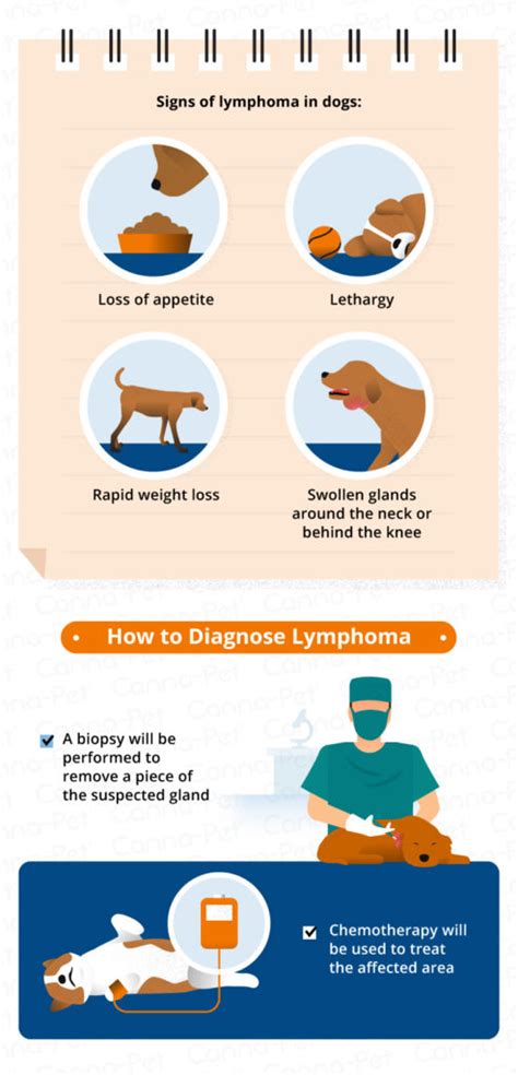 Most Common Canine Cancers Canna Pet