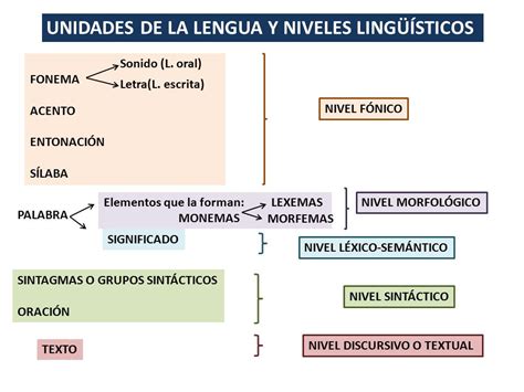 Lenguayliteraturalc Ntara La Lengua Como Sistema Niveles Ling Sticos