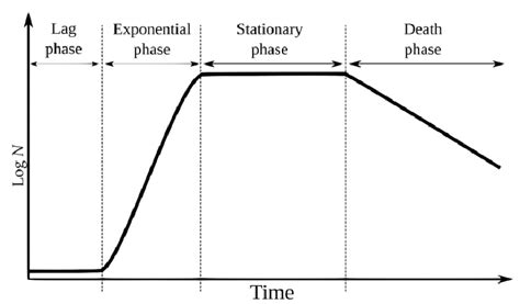 Generic microbial growth curve [5]. | Download Scientific Diagram