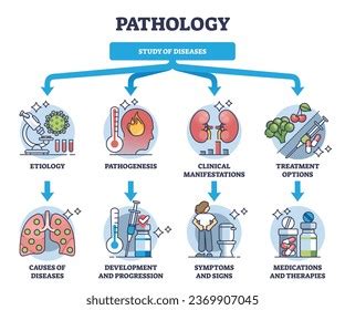 12 Pathology Organ Sample Stock Vectors and Vector Art | Shutterstock