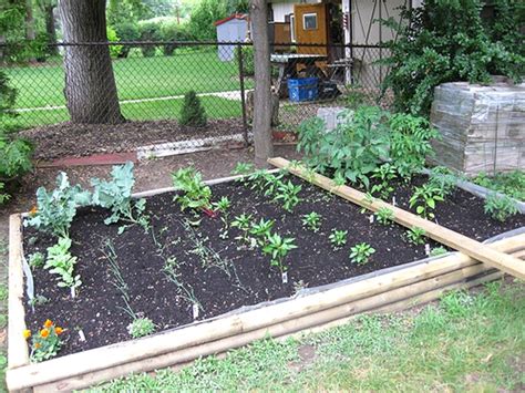 Diy Urban Vegetable Garden Hawk Haven