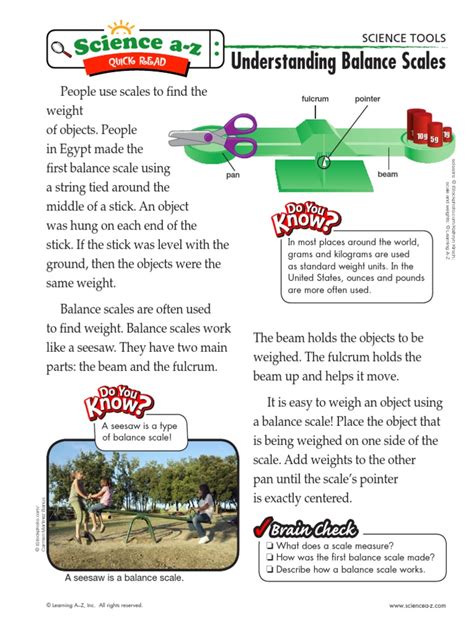 Understanding Balance Scales | PDF | Weighing Scale | Weight