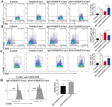 In Vivo Depletion Of Gr Positive Mdscs Attenuates Gsk Induced