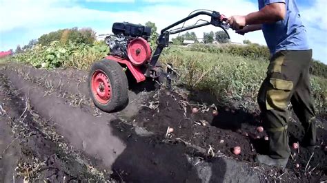 "ОКА" 9 лс и "БРАЙТ" 13 лс с веерными копалками.(Лапами).Копаем ...