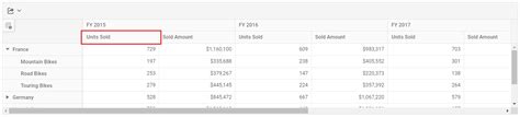 How To Customize Headers In The Javascript Pivot Table Ui And During