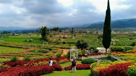 Taman Kelinci Ciwidey Bandung Info Tiket Masuk Jam Buka Lokasi Dan