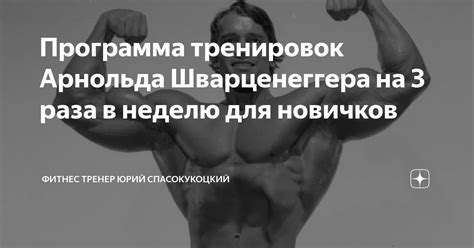 Программа тренировок Арнольда Шварценеггера на 3 раза в неделю для ...
