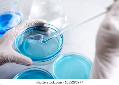 Science Laboratory Dropper On Test Tube Stock Photo 1055295977 | Shutterstock