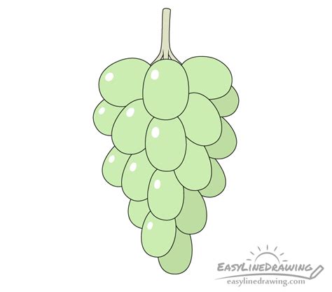 Easy Drawing Of Grapes