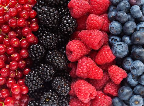 Berries Images at Robin Clark blog