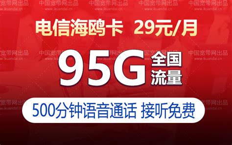 电信海鸥卡套餐（29元月租包95g流量500分钟通话） 宽带网