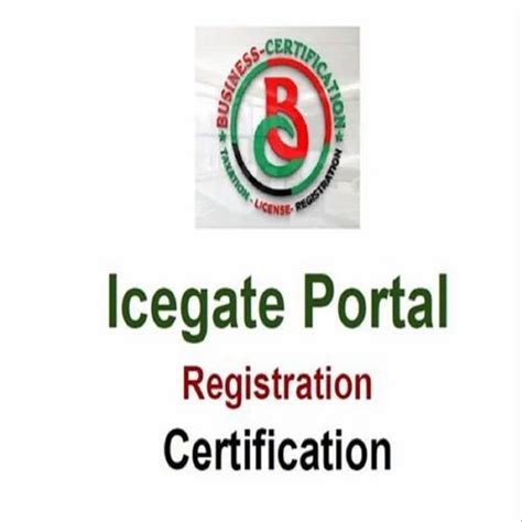 Icegate Registration Pan India in New Delhi | ID: 26412827955