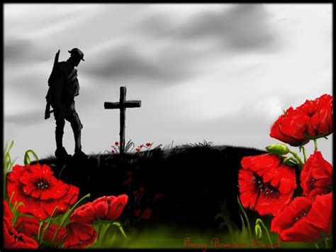 Remembrance Day Wallpapers Top Free Remembrance Day Backgrounds